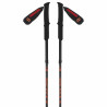SCOTT POLE TRAIL CARBON