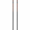 SCOTT POLE TRAIL CARBON