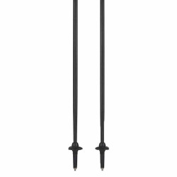 SCOTT POLE TRAIL CARBON