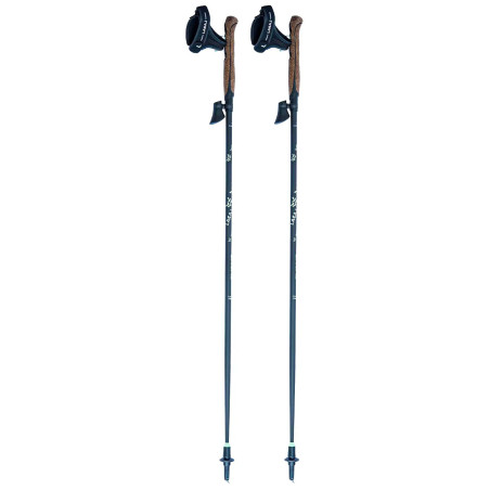 LACAL STICK CARBONE 70% Marche Nordique