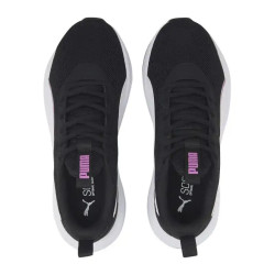PUMA INCINERATE